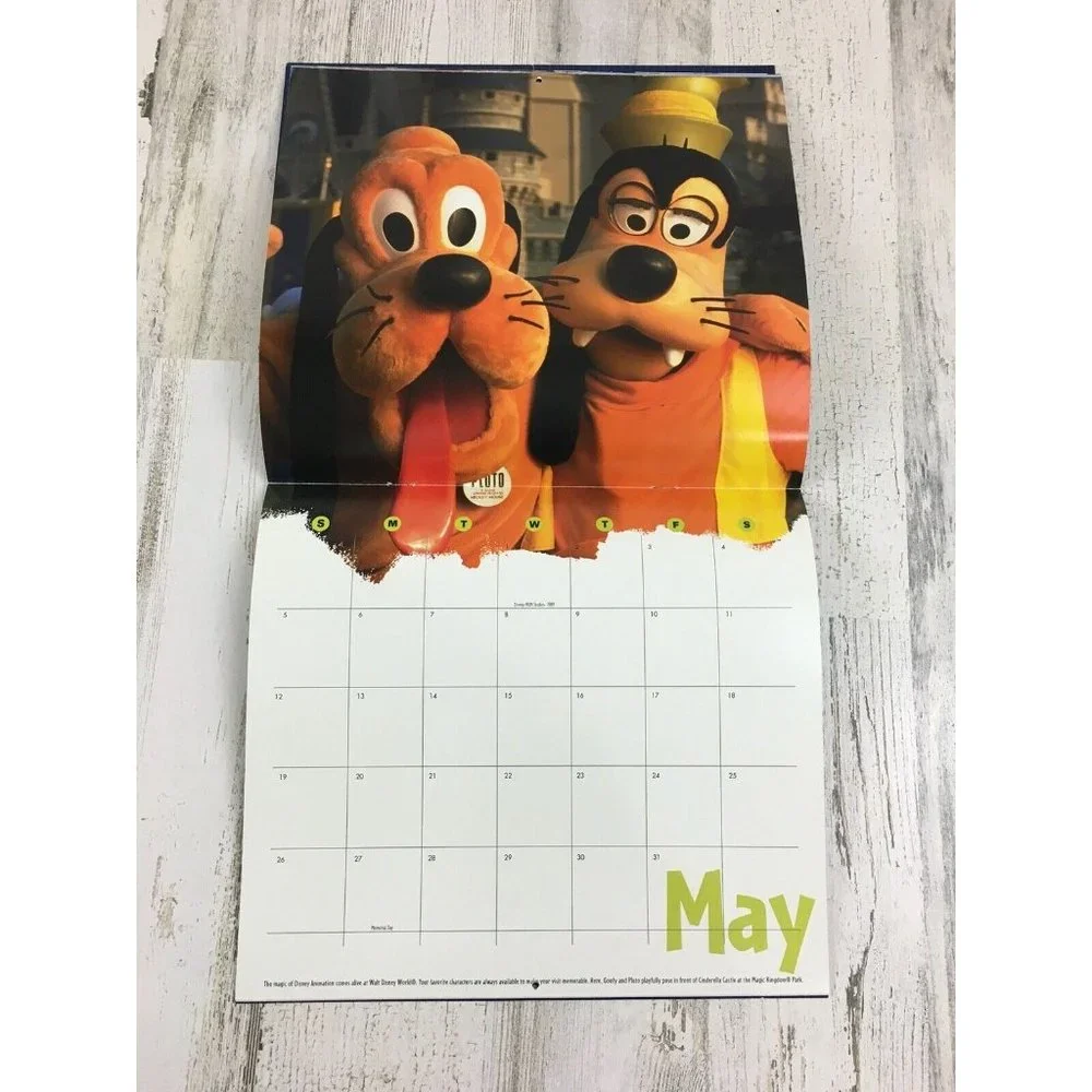 Walt Disney World 100 Years of Magic 2002 Wall Calendar Attraction Photos